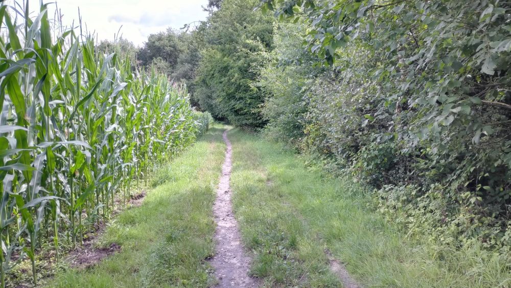 Schweigend pilgern